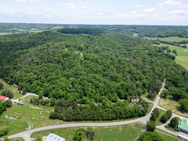 0 Goose Branch Road Lynchburg, TN 37352 - Photo 27 of 43 a view of a lush green forest with lots of trees