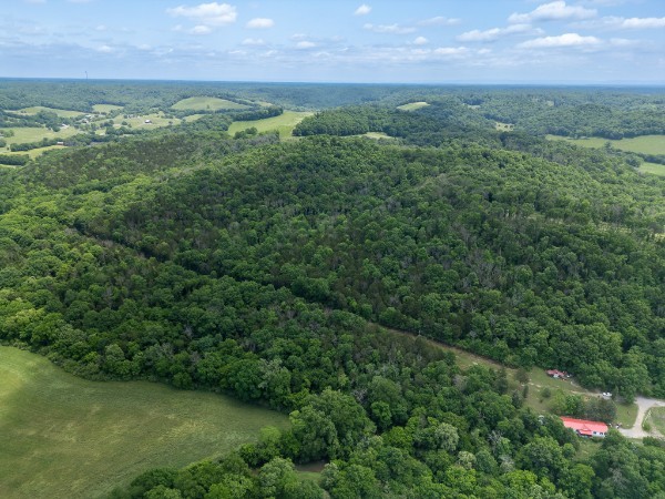 0 Goose Branch Road Lynchburg, TN 37352 - Photo 28 of 43 an aerial view of residential houses with outdoor space and trees all around
