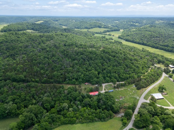 0 Goose Branch Road Lynchburg, TN 37352 - Photo 29 of 43 a view of a lush green forest with a houses