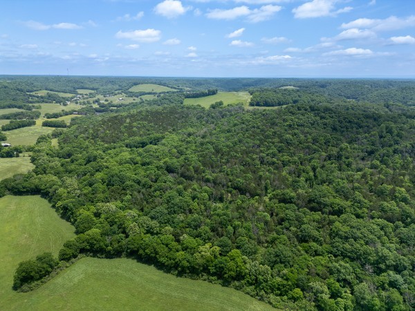 0 Goose Branch Road Lynchburg, TN 37352 - Photo 30 of 43 a view of a green field with lots of bushes