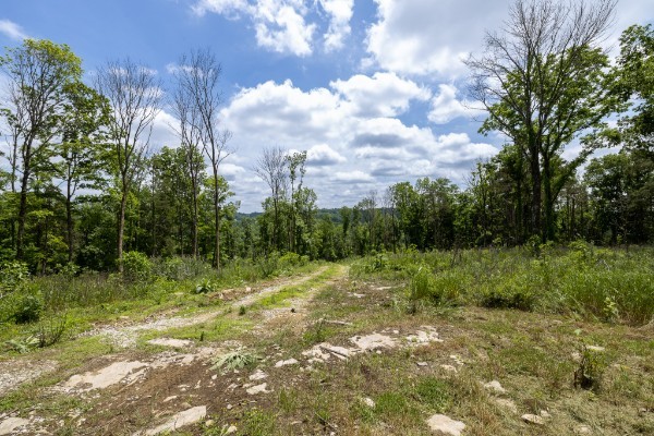 0 Goose Branch Road Lynchburg, TN 37352 - Photo 3 of 43 a view of outdoor space with trees all around