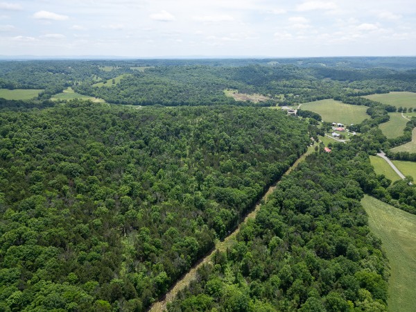 0 Goose Branch Road Lynchburg, TN 37352 - Photo 33 of 43 an aerial view of forest