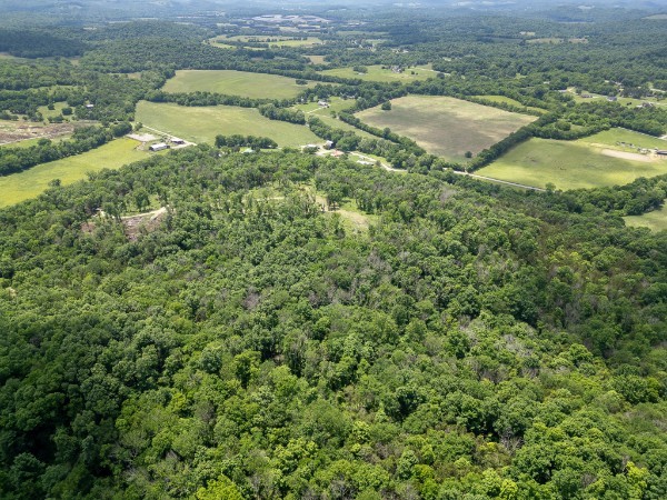 0 Goose Branch Road Lynchburg, TN 37352 - Photo 34 of 43 an aerial view of residential houses with outdoor space and trees