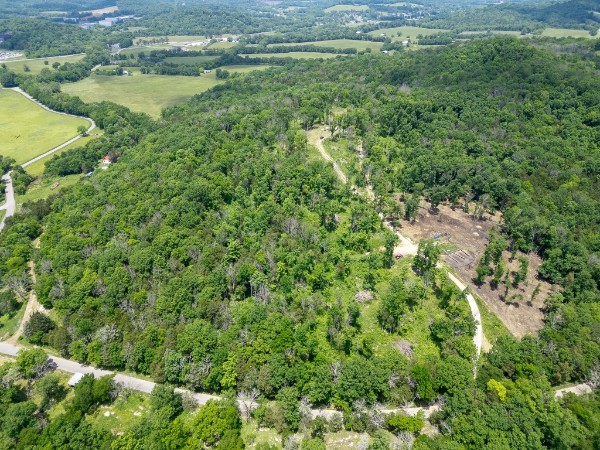 0 Goose Branch Road Lynchburg, TN 37352 - Photo 38 of 43 a view of a forest with a houses