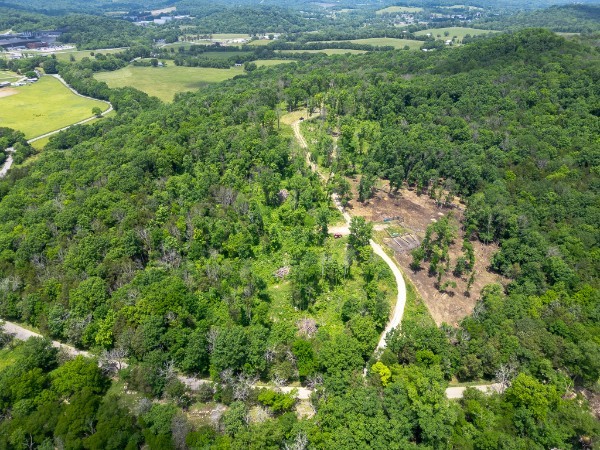 0 Goose Branch Road Lynchburg, TN 37352 - Photo 39 of 43 a view of a yard with an outdoor space