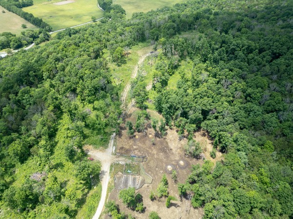 0 Goose Branch Road Lynchburg, TN 37352 - Photo 40 of 43 a view of a garden with plants
