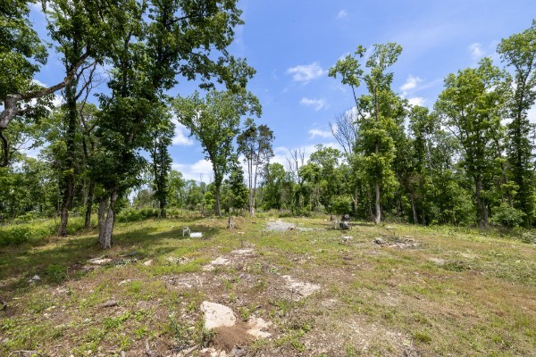 0 Goose Branch Road Lynchburg, TN 37352 - Photo 4 of 43 a view of outdoor space with trees all around