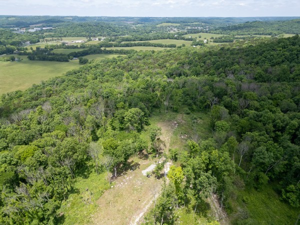 0 Goose Branch Road Lynchburg, TN 37352 - Photo 41 of 43 a view of a forest with a lake