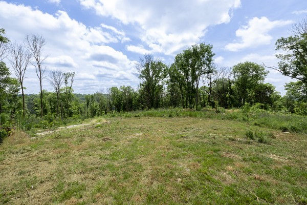 0 Goose Branch Road Lynchburg, TN 37352 - Photo 5 of 43 a big yard with lots of green space