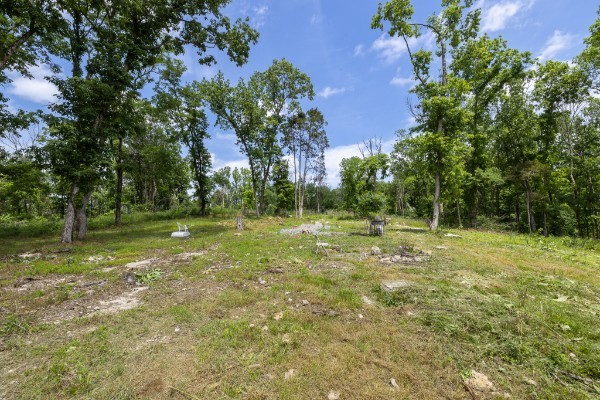 0 Goose Branch Road Lynchburg, TN 37352 - Photo 6 of 43 a view of a field with a tree