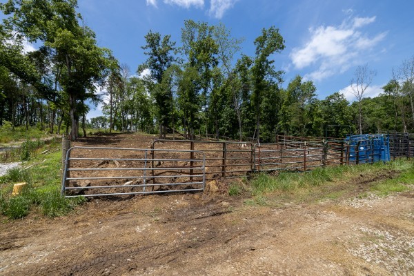 0 Goose Branch Road Lynchburg, TN 37352 - Photo 7 of 43 a view of a bench in a yard