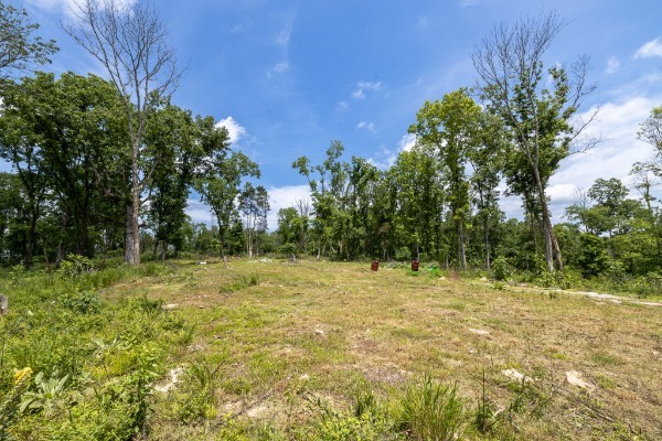 0 Goose Branch Road Lynchburg, TN 37352 - Photo 8 of 43 a view of a field with trees