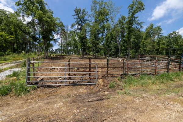 0 Goose Branch Road Lynchburg, TN 37352 - Photo 10 of 43 a view of a yard with wooden fence