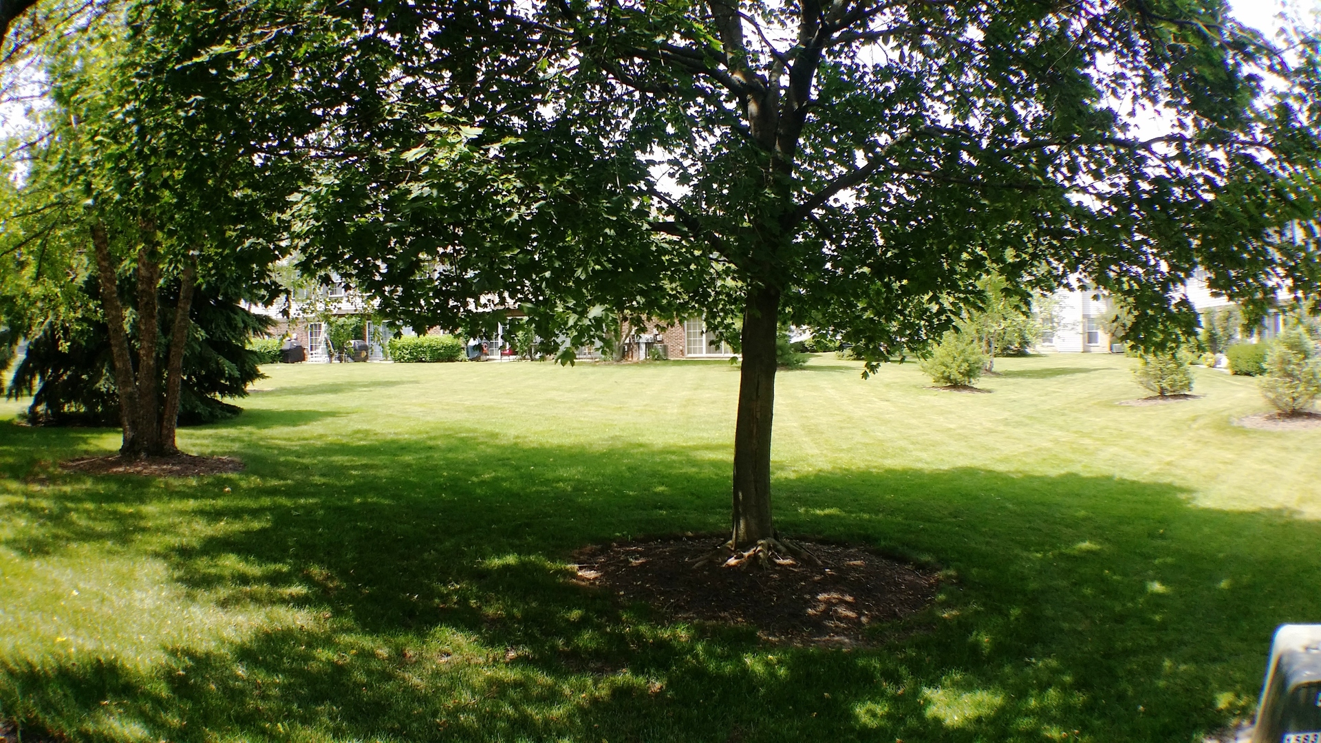 1934 Heron Avenue, Unit D Schaumburg, IL 60193 - Photo 18 of 20 a view of back yard