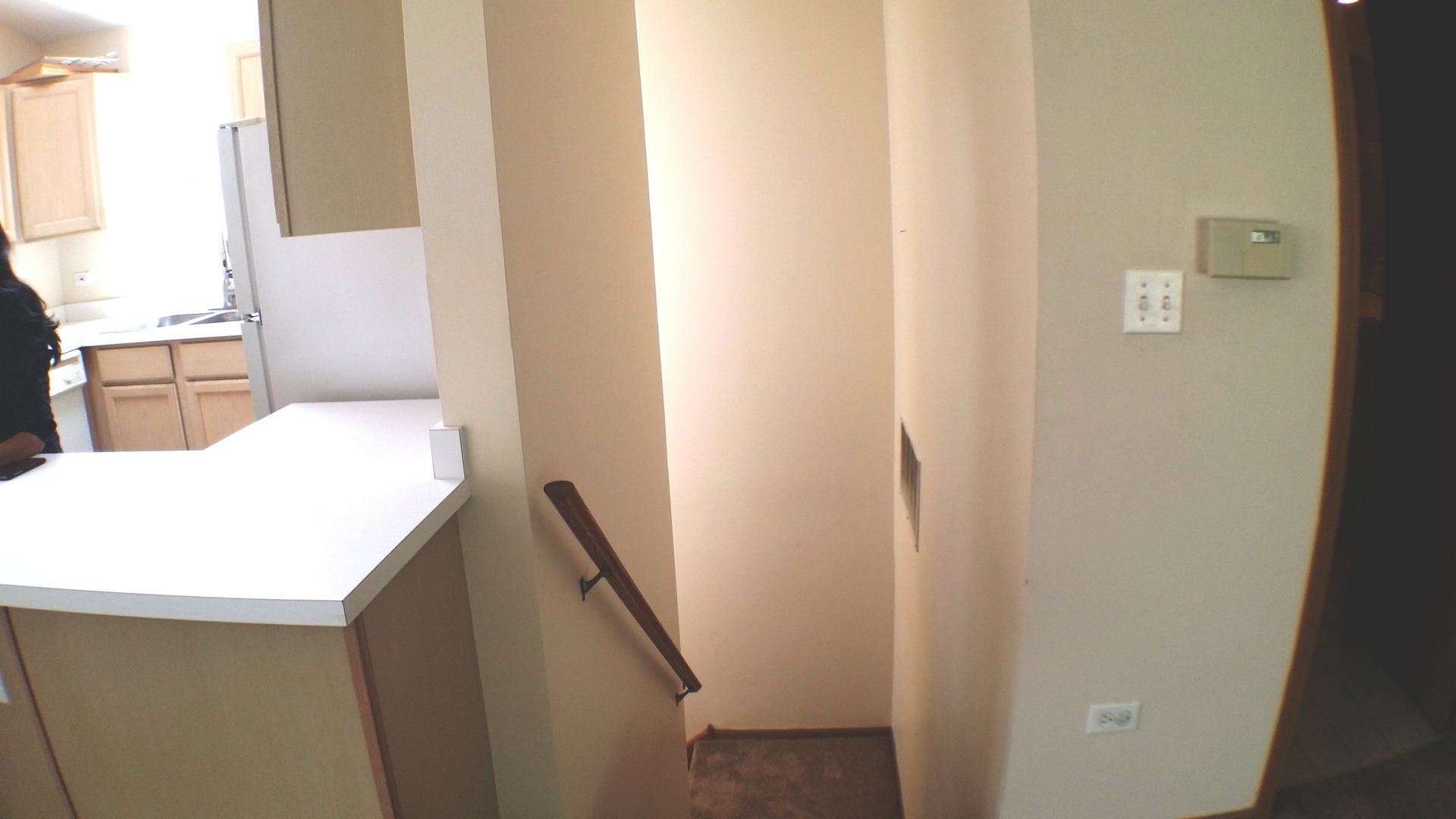 1934 Heron Avenue, Unit D Schaumburg, IL 60193 - Photo 4 of 20