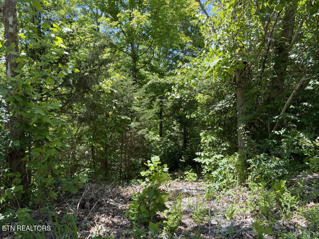 Lot 778 Russell Br Road Sharps Chapel, TN 37866 - Photo 15 of 38 #778 Russell Br, Sunset Bay, Norris Lake