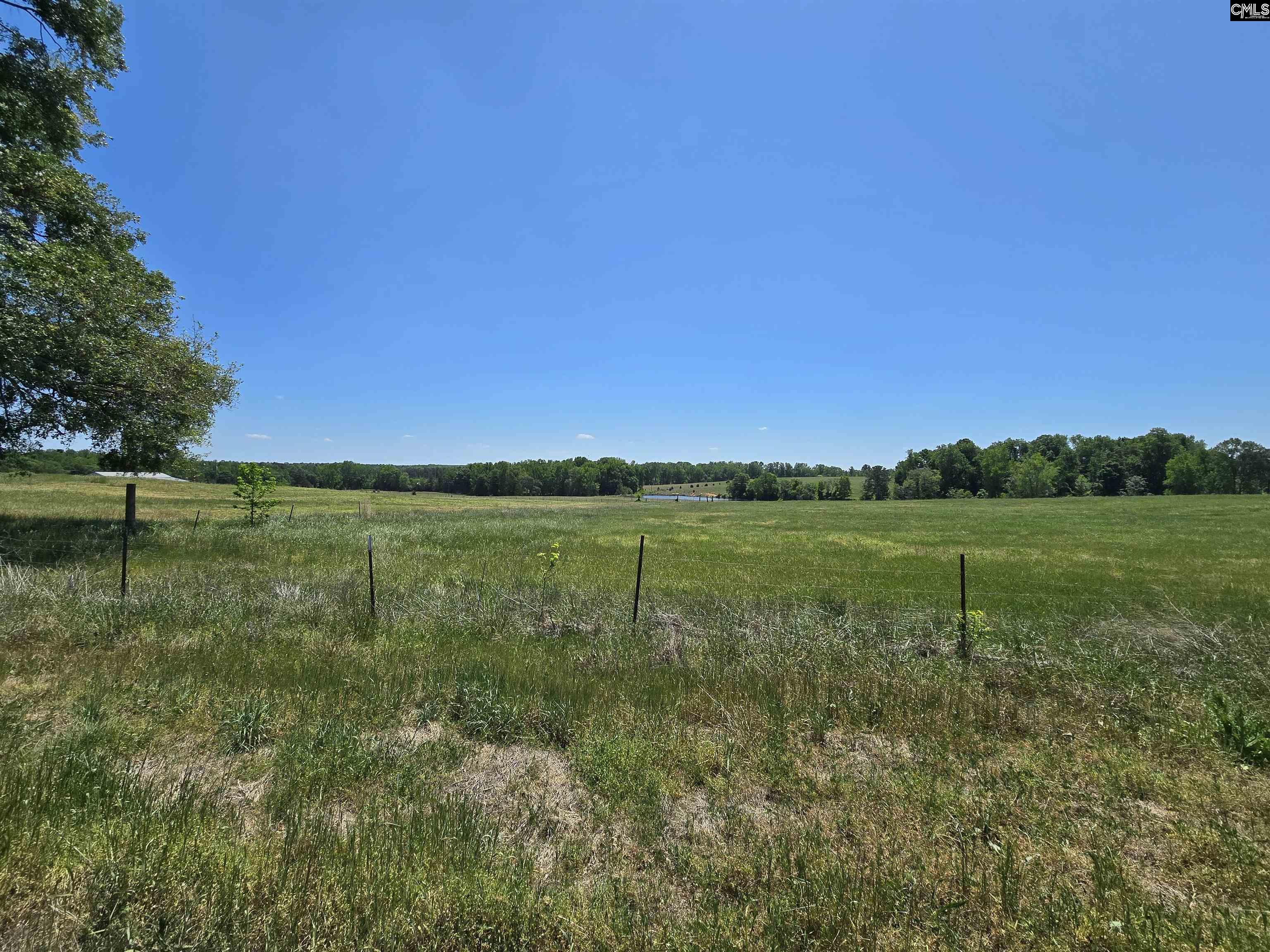 542 Pea Ridge Highway Jonesville, SC 29353 - Photo 19 of 72