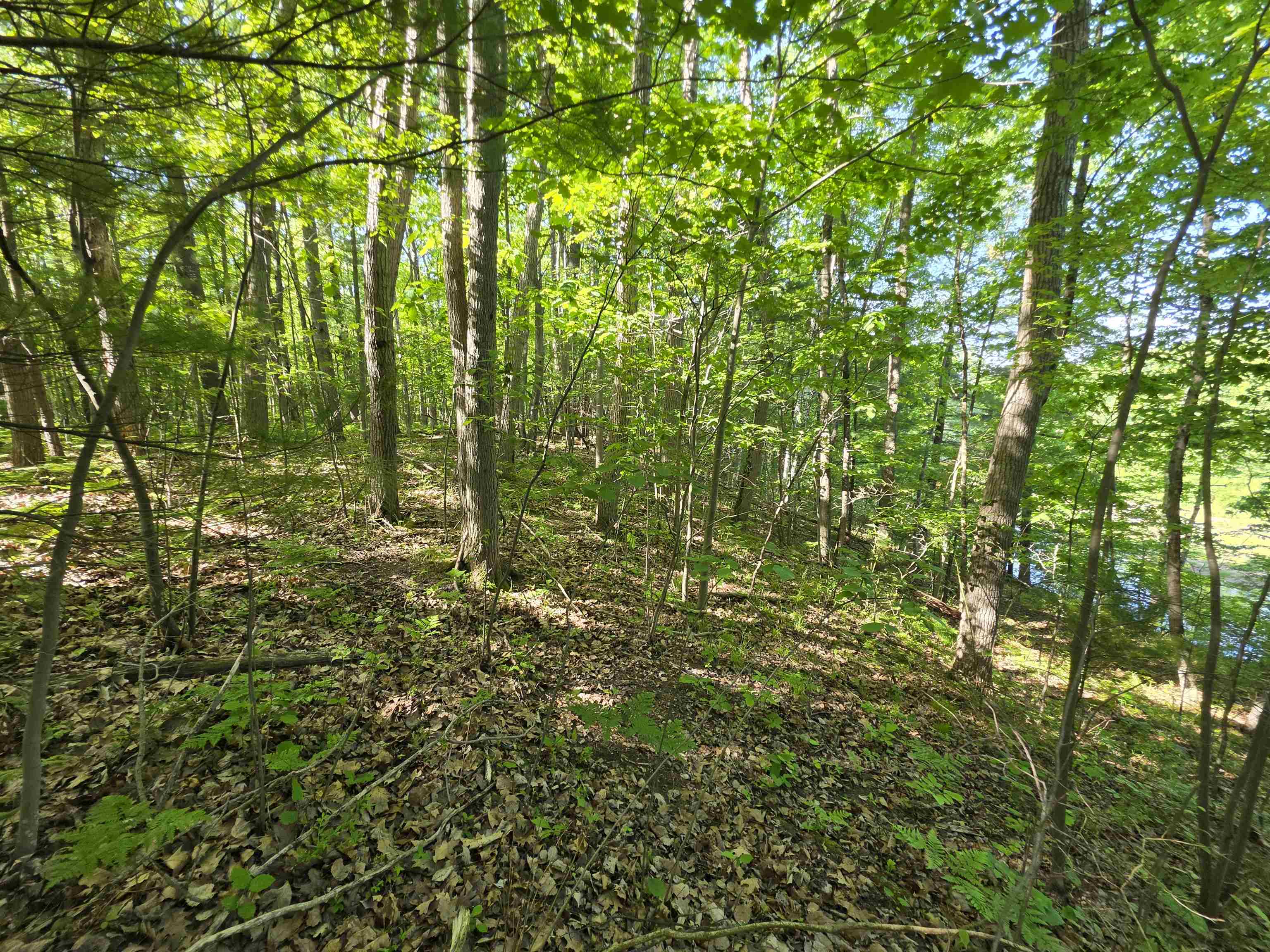 Tbd North Lakeshore Road Gladwin, MI 48624 - Photo 13 of 33