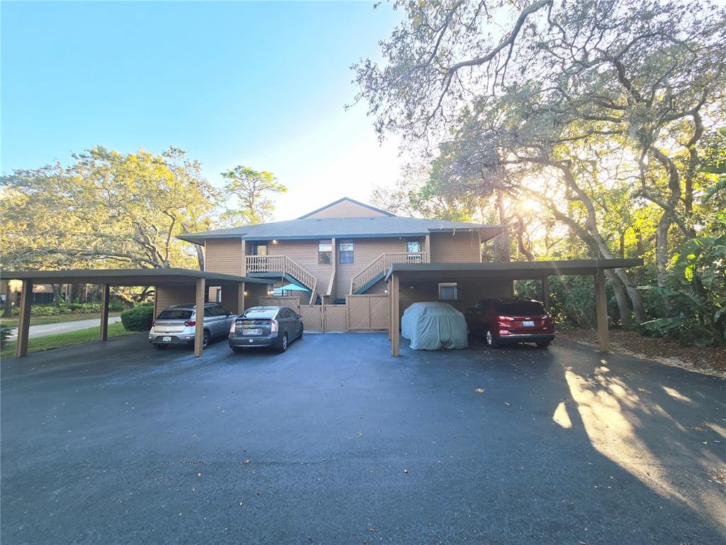 103 Cypress Pond Road, Unit 103 Palm Harbor, FL 34683 - Photo 13 of 52 a view of a house with a patio