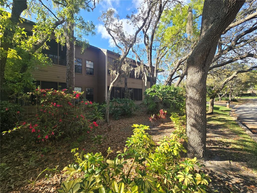 103 Cypress Pond Road, Unit 103 Palm Harbor, FL 34683 - Photo 2 of 52 a front view of a house with a yard and fountain in middle