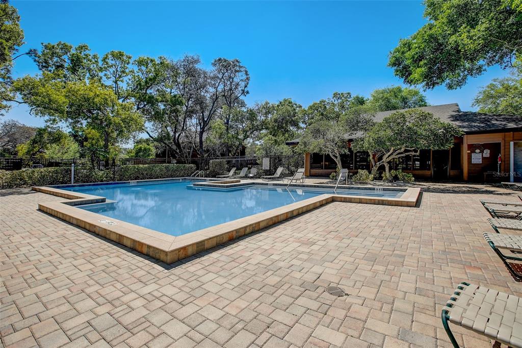 103 Cypress Pond Road, Unit 103 Palm Harbor, FL 34683 - Photo 42 of 52 a swimming pool with outdoor seating and trees in the background