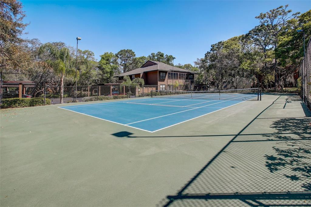 103 Cypress Pond Road, Unit 103 Palm Harbor, FL 34683 - Photo 43 of 52 a view of a tennis court