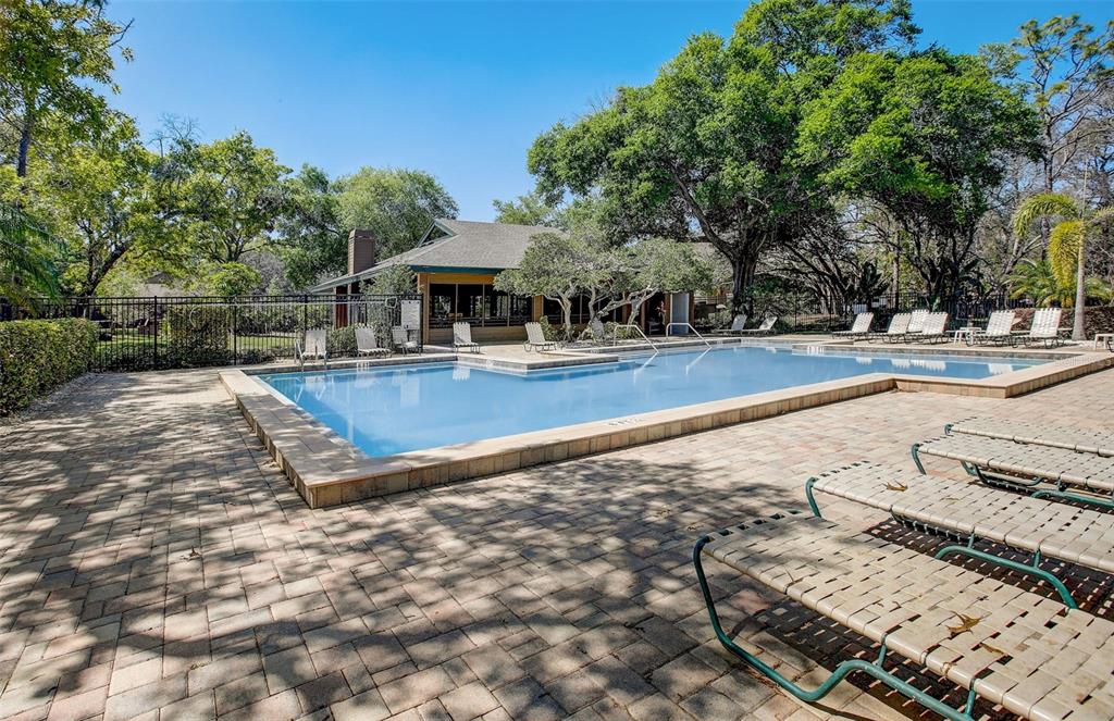 103 Cypress Pond Road, Unit 103 Palm Harbor, FL 34683 - Photo 48 of 52