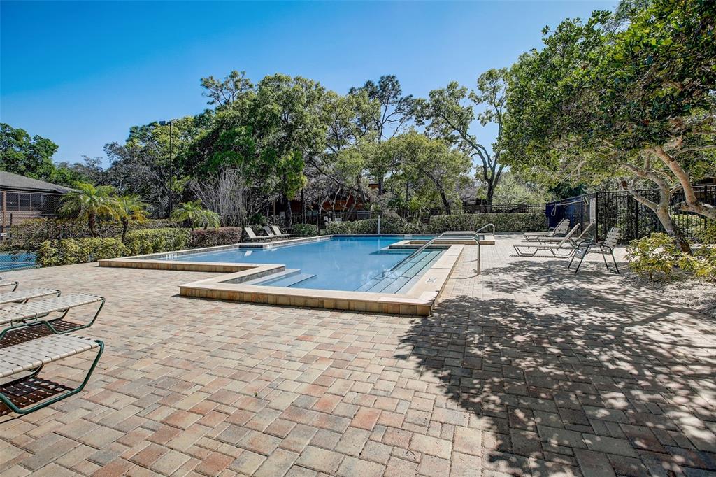 103 Cypress Pond Road, Unit 103 Palm Harbor, FL 34683 - Photo 50 of 52