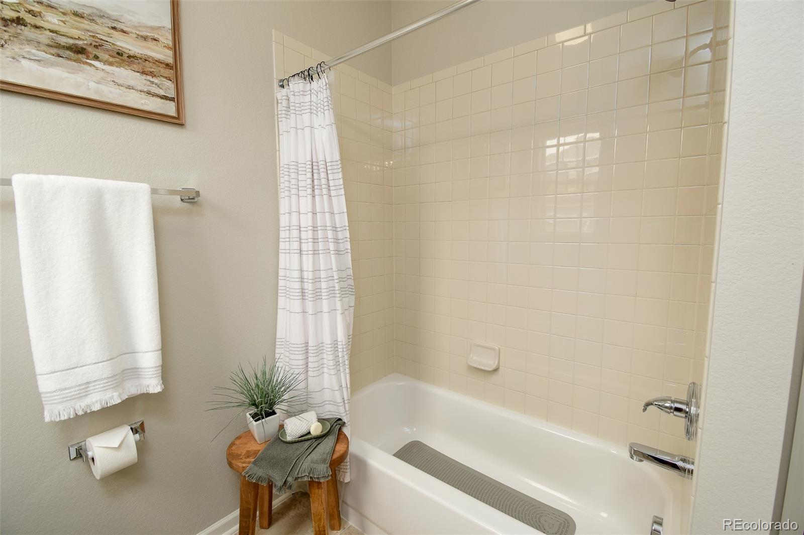 4000 Starry Night Loop Castle Rock, CO 80109 - Photo 21 of 27
