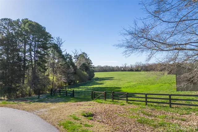 a view of a bench in a yard with wooden fence