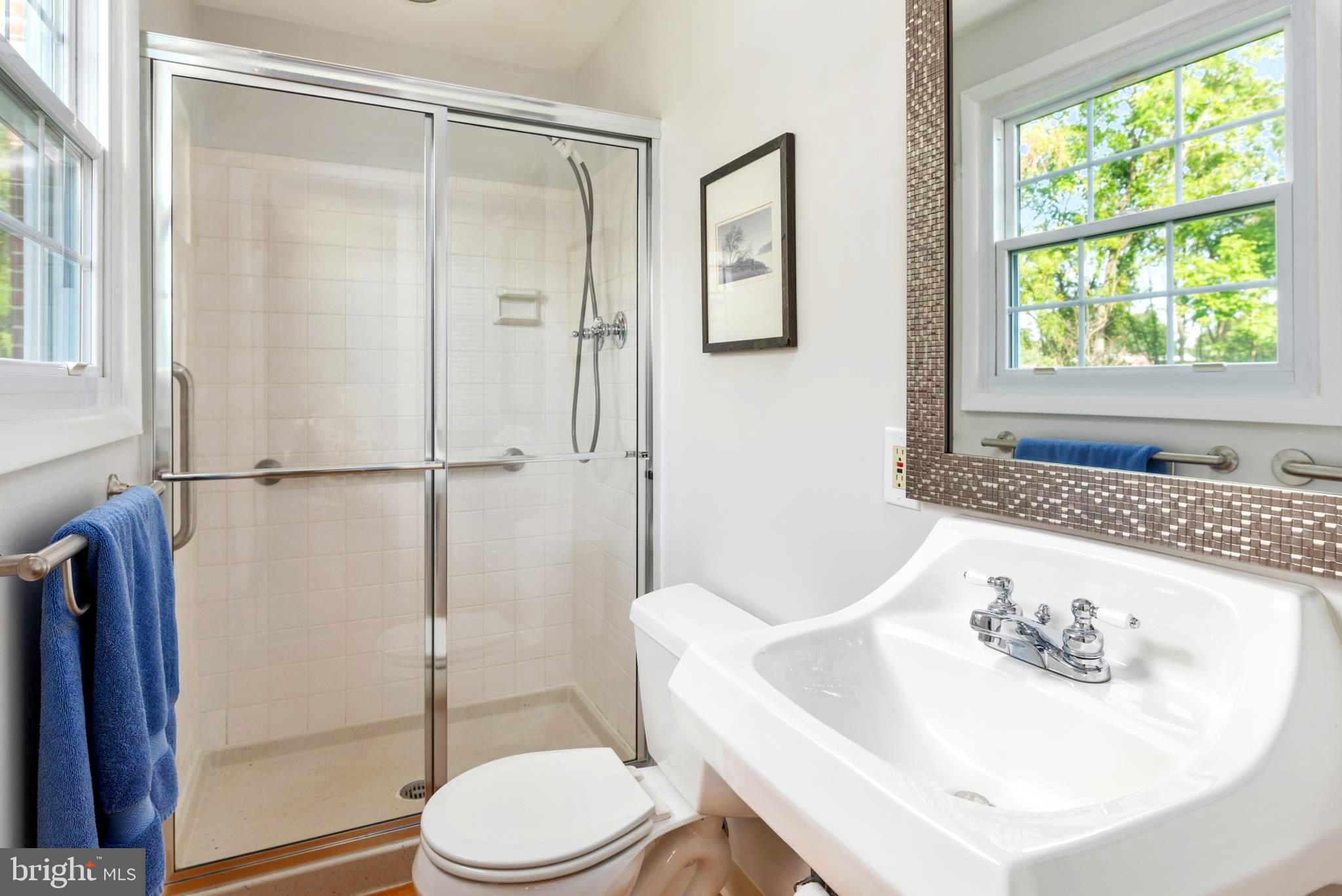 5262 Eliots Oak Road Columbia, MD 21044 - Photo 22 of 30 Master bath with great light.