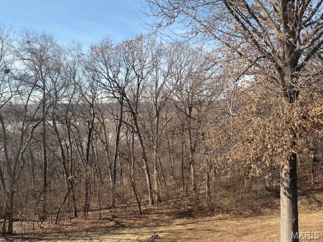 13721 La Conte Court St. Louis, MO 63128 - Photo 30 of 35