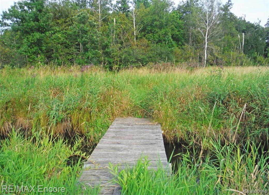 7414 Perry Lake Road Clarkston, MI 48348 - Photo 19 of 27 Bridge to cross river leads to more trails