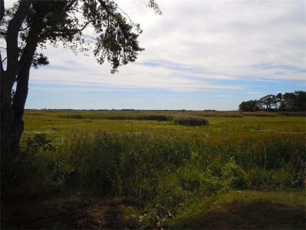 188 Beach Road, Unit 10 Salisbury, MA 01952 - Photo 18 of 18 Gallery Image 18