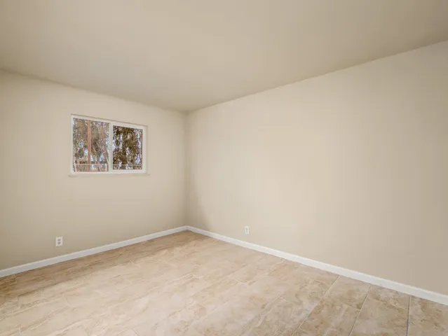 a view of a yard with plants and trees
