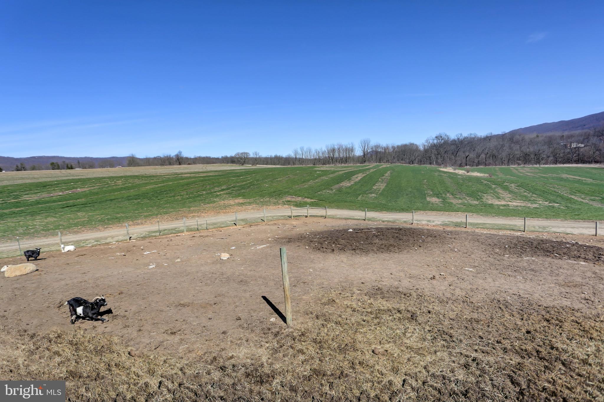17308 Path Valley Road Spring Run, PA 17262 - Photo 41 of 52