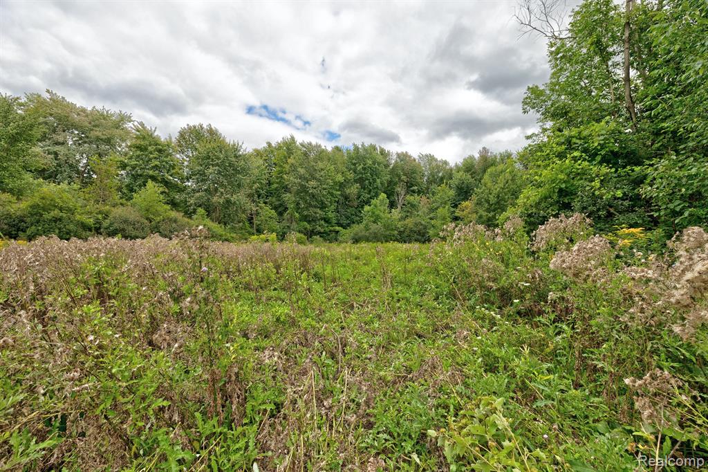 8910 Petz Road Imlay City, MI 48444 - Photo 47 of 62