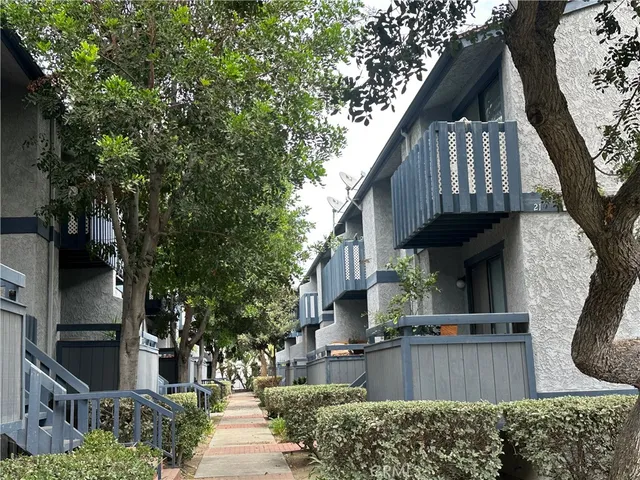 a view of street with large trees