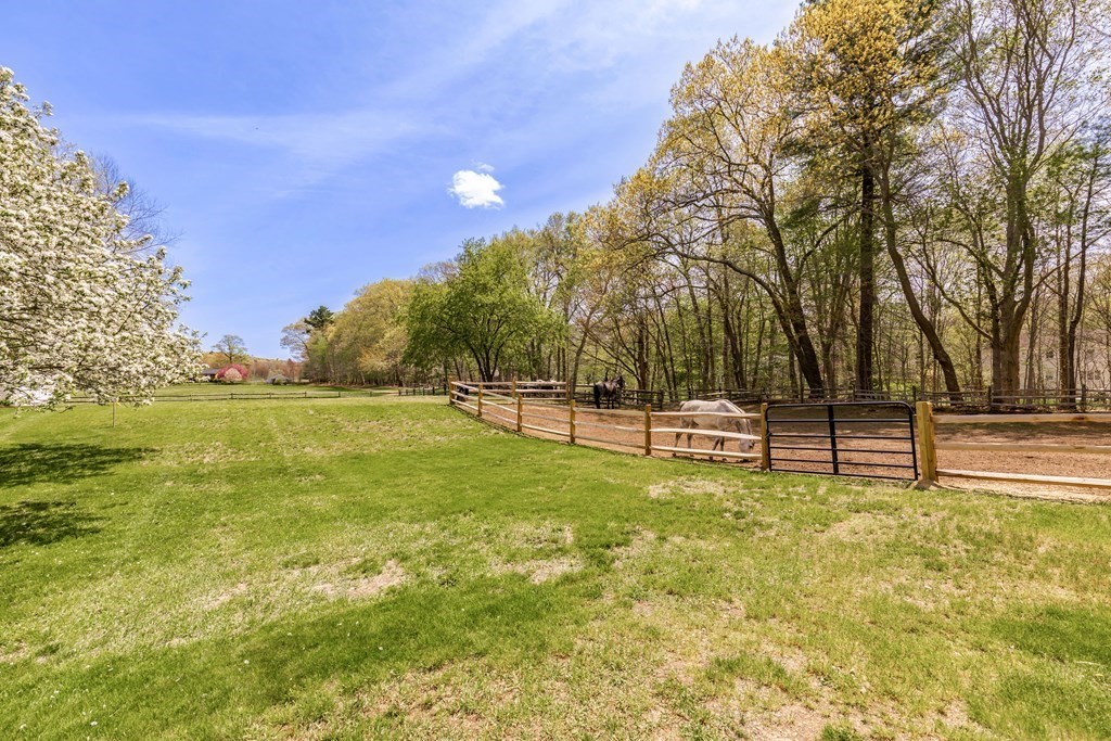 3 Longmeadow Way Hamilton, MA 01982 - Photo 6 of 41 a view of a swimming pool with a bench and trees