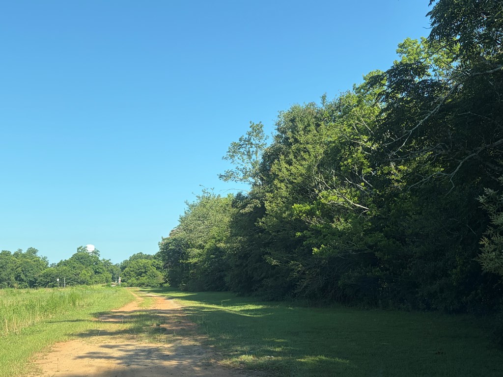 1 Nichols Road Pinckard, AL 36350 - Photo 29 of 29