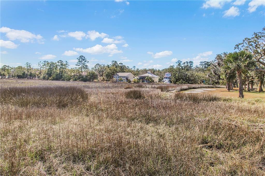 1088 Fiddler Trace Townsend, GA 31331 - Photo 26 of 36 Photo 26