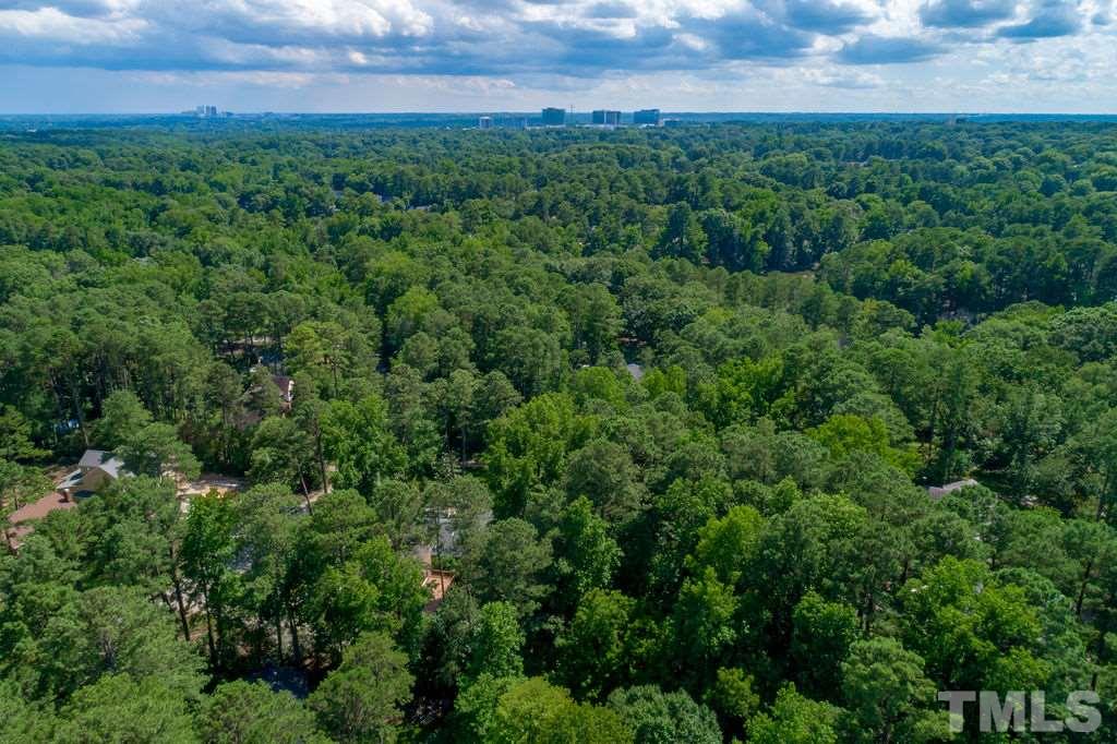 5409 Alpine Drive Raleigh, NC 27609 - Photo 30 of 30 TREES, TREES and more TREES! This gem wont last long!