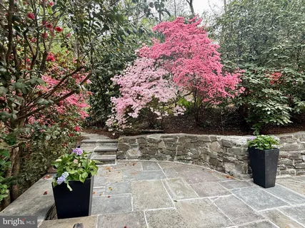 a view of a backyard