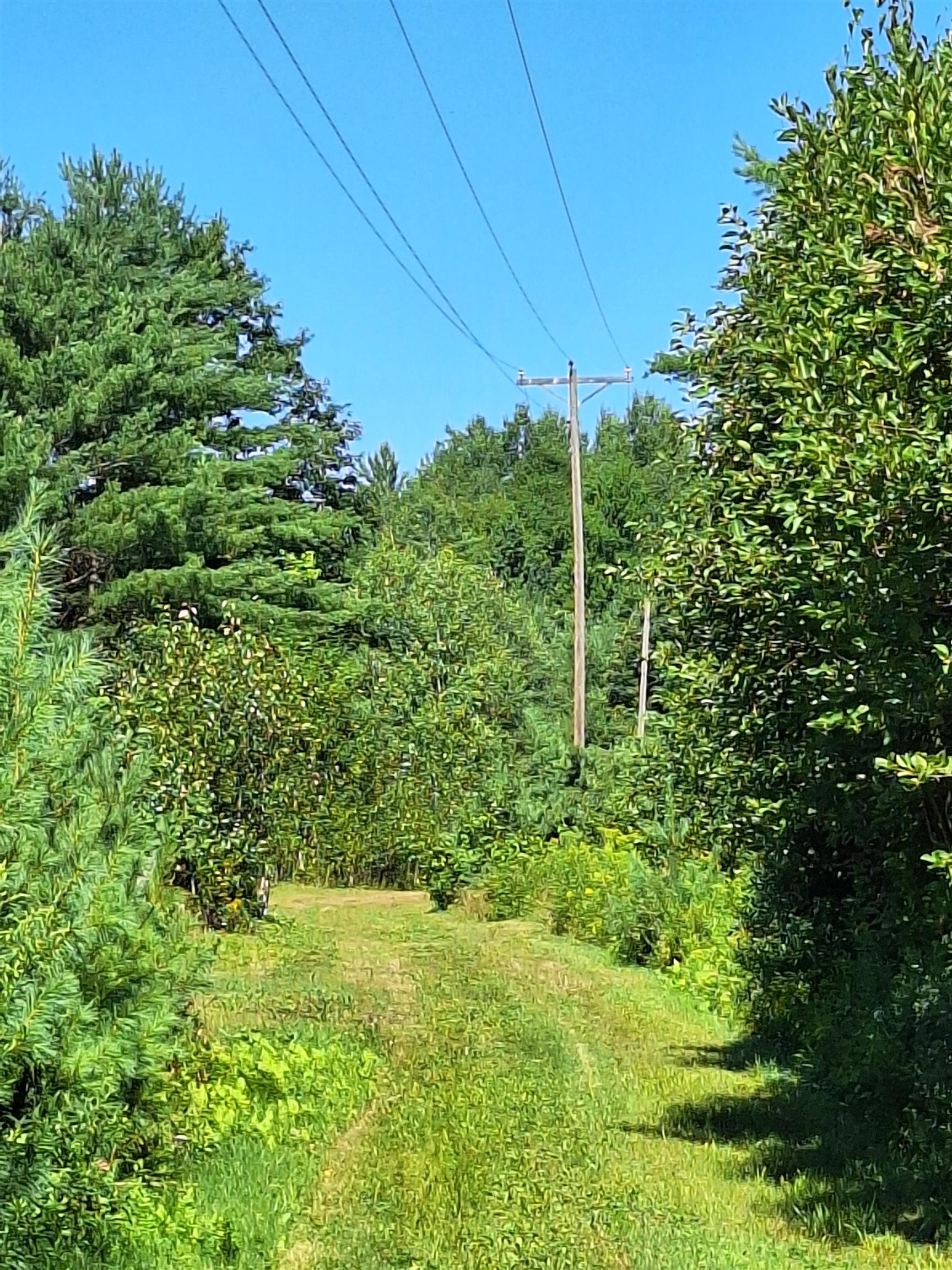 125 Hollins Road Haverhill, NH 03774 - Photo 12 of 13 Gallery Image 12