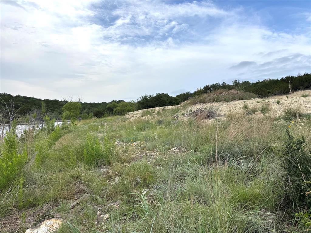 810 Anglers Ridge Bluff Dale, TX 76433 - Photo 10 of 23 a view of lake with lots of green space