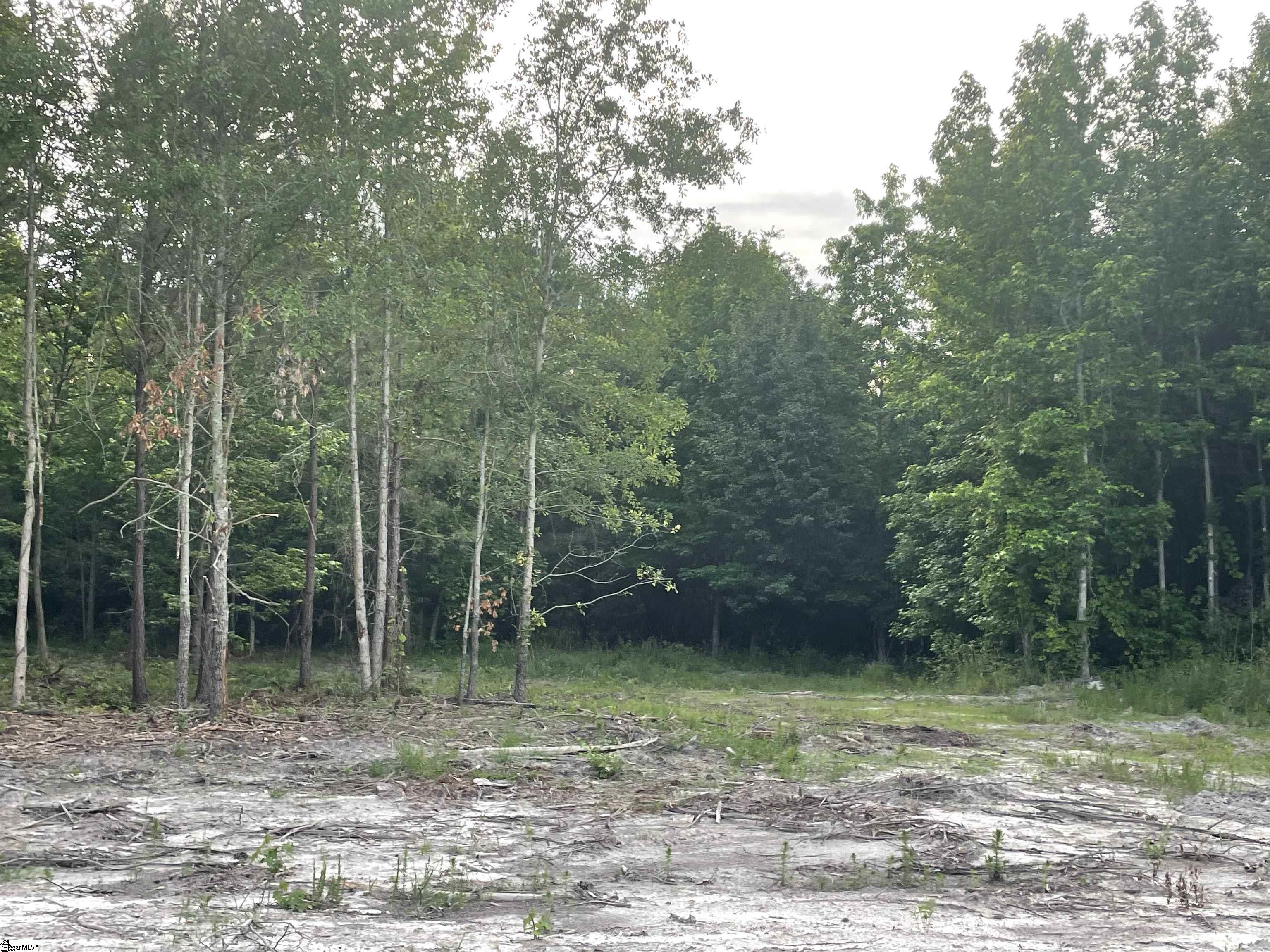 0 Connor Road, Unit LOT 5 Hodges, SC 29653 - Photo 1 of 1