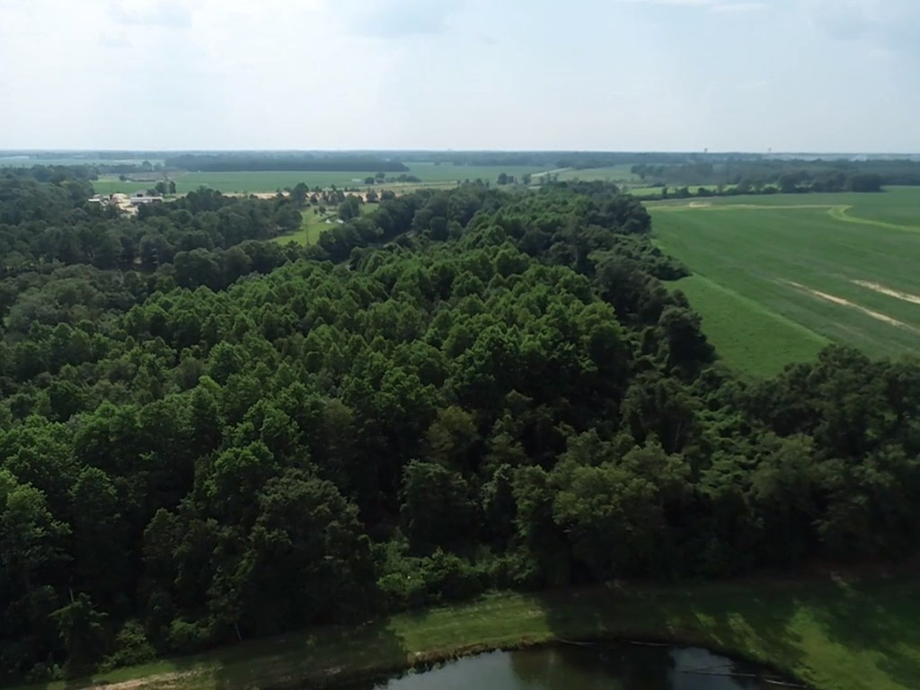 132.3-ac Green Road Dothan, AL 36303 - Photo 34 of 63