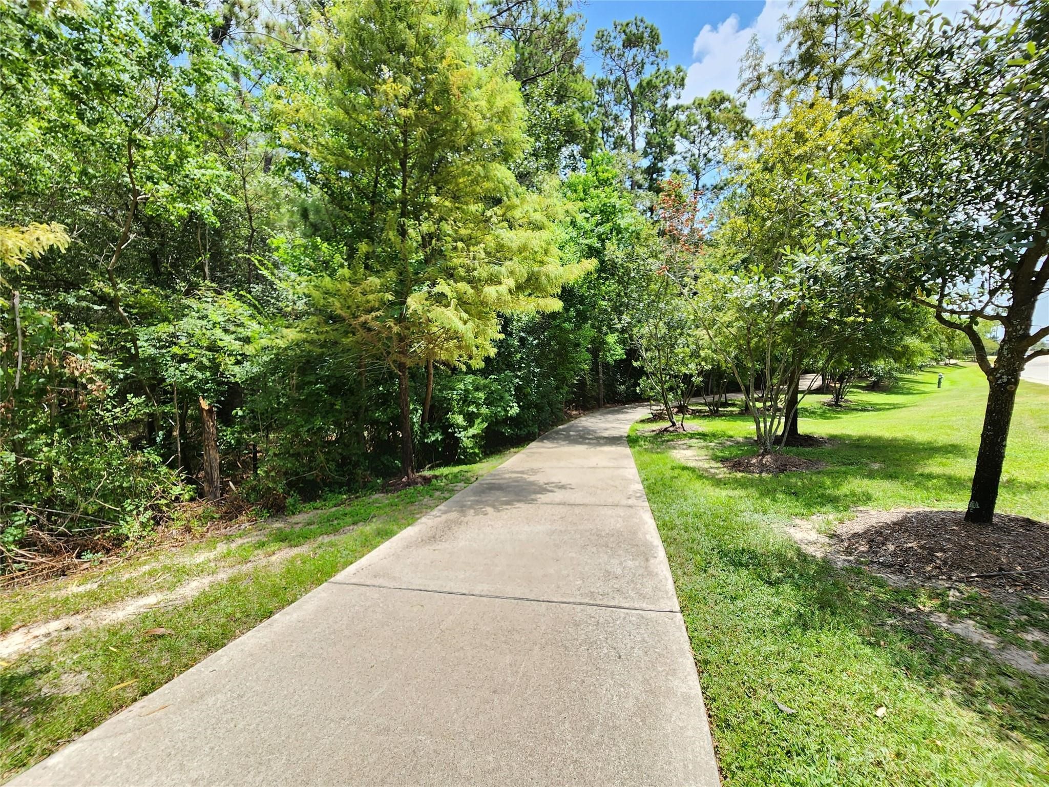 3771 Pinebrook Hollow Lane Spring, TX 77386 - Photo 49 of 50 a huge green field with lots of trees