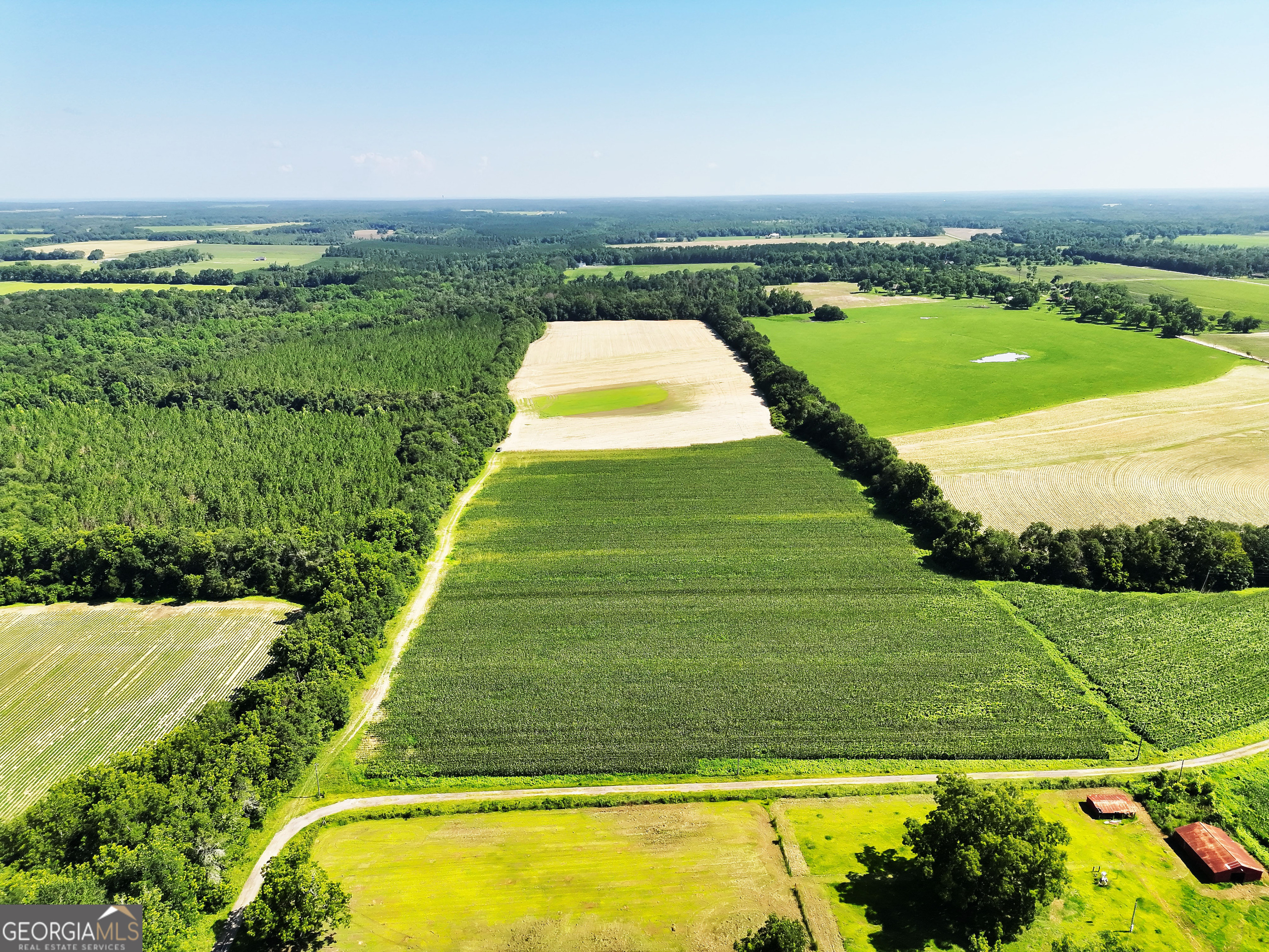 0 Tired Creek Road Whigham, GA 39897 - Photo 2 of 9
