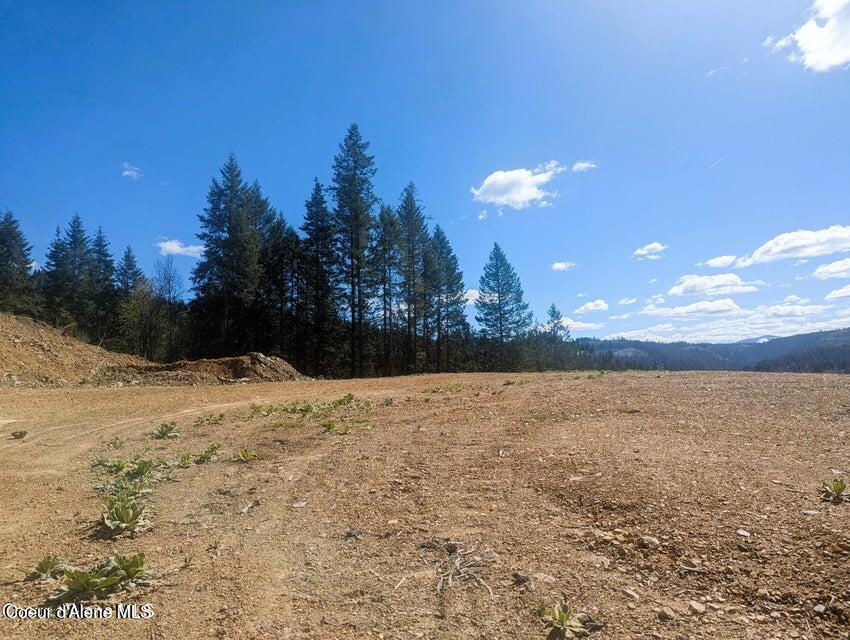 484 Ahrs Loop St. Maries, ID 83861 - Photo 6 of 17 20240422215706432319000000-o